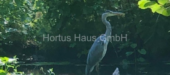 Grundstück in Oberhavel, Germany, Nr. 13157 14