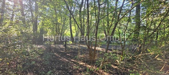 Grundstück in Oberhavel, Germany, Nr. 13157 2