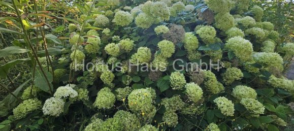 Grundstück in Oberhavel, Germany, Nr. 13157 9