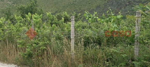 8600m² Land in Camigliano, Italy No. 91044 9