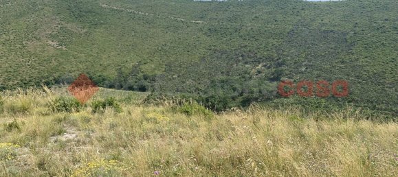 8600m² Land in Camigliano, Italy No. 91044 2