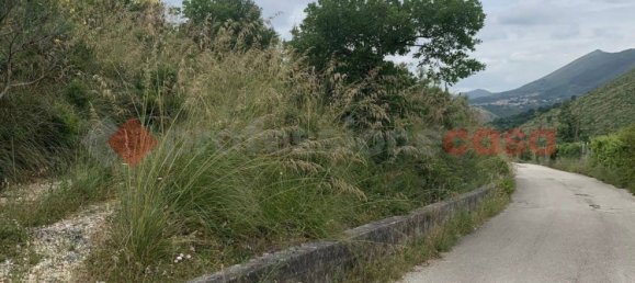 8600m² Land in Camigliano, Italy No. 91044 7