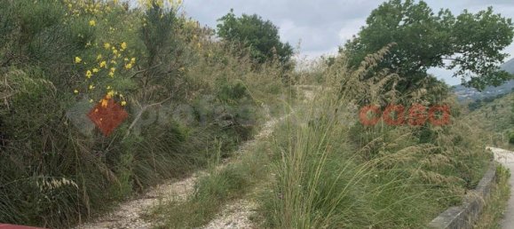 8600m² Land in Camigliano, Italy No. 91044 6