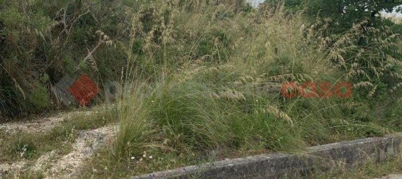 8600m² Land in Camigliano, Italy No. 91044 5