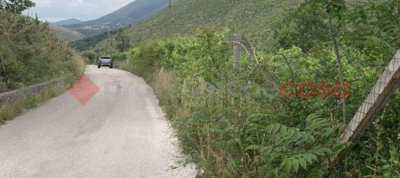 8600m² Land in Camigliano, Italy No. 91044 8