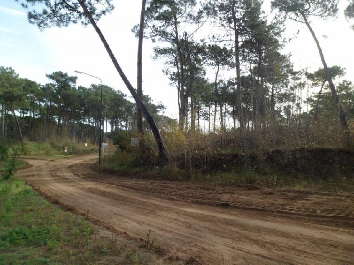 Земельный участок в Мар-дель-Плата, Аргентина № 117671