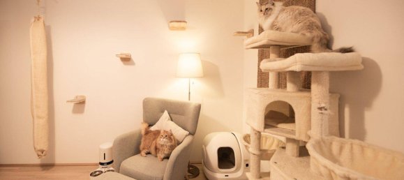 Apartamento de 3 habitaciónes en Bad Schallerbach, Austria No. 139589 17