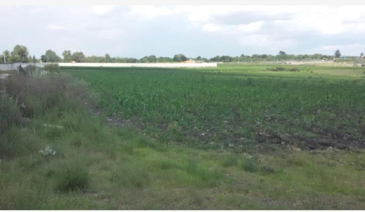 Terrain à Apaxco, Mexico No. 207148