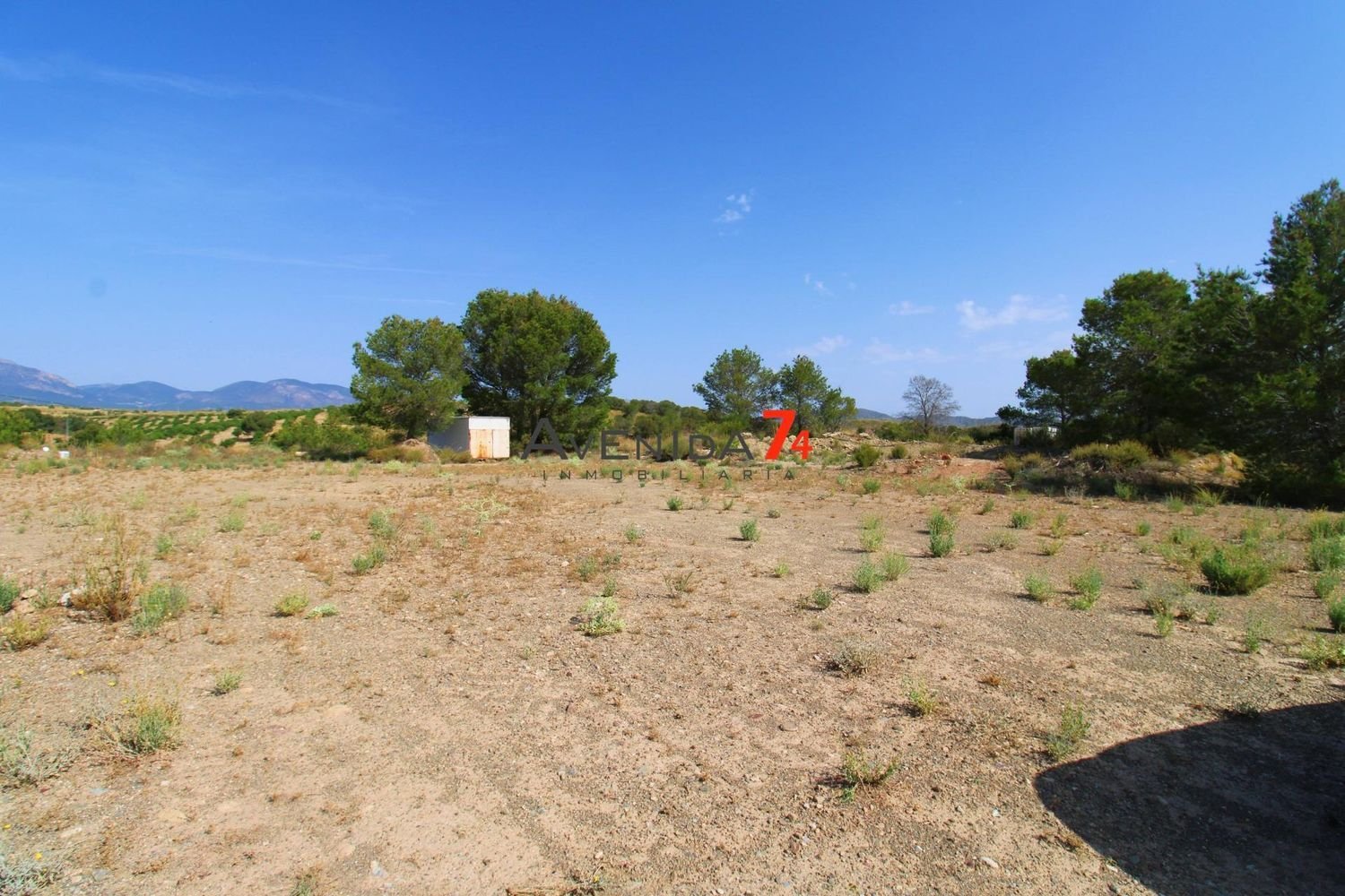  Land in Lorca, Spain No. 153028