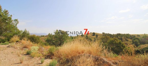  Land in Lorca, Spain No. 153028 6