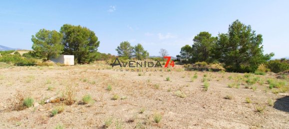  Land in Lorca, Spain No. 153028 4