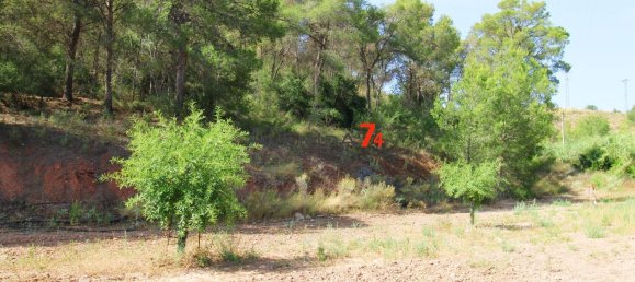  Land in Lorca, Spain No. 153028 26