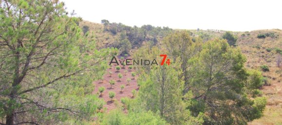  Land in Lorca, Spain No. 153028 15