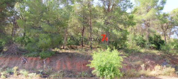  Land in Lorca, Spain No. 153028 23