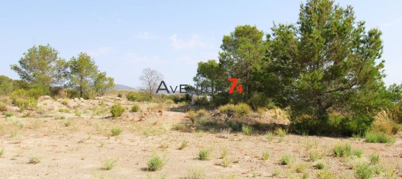  Land in Lorca, Spain No. 153028 2