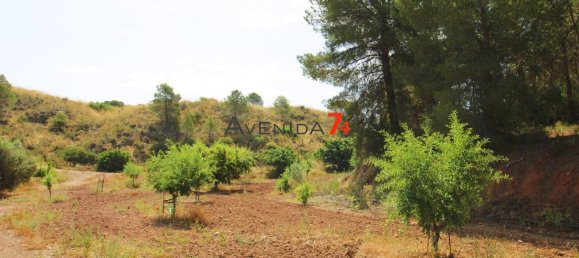  Land in Lorca, Spain No. 153028 17