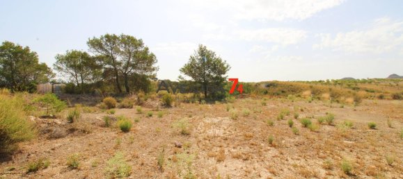  Land in Lorca, Spain No. 153028 9