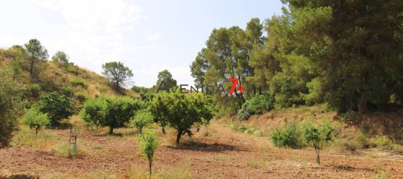  Land in Lorca, Spain No. 153028 19