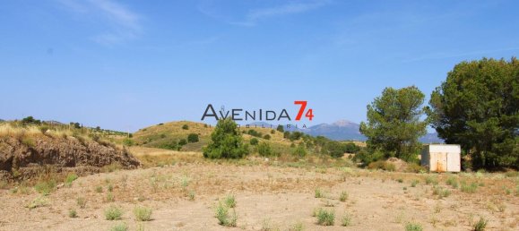  Land in Lorca, Spain No. 153028 12