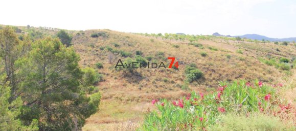  Land in Lorca, Spain No. 153028 10