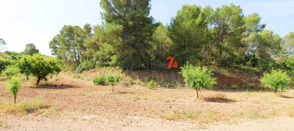  Land in Lorca, Spain No. 153028 25