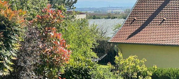 5 غرف نوم منزل في Kienheim, France رقم 72795 5