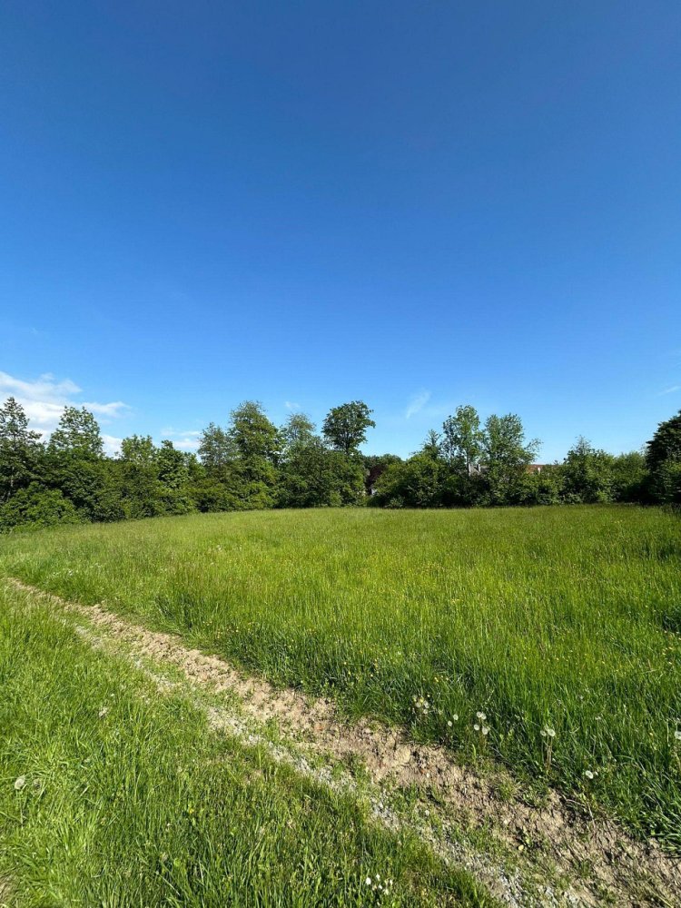 Grundstück in Scharten, Austria, Nr. 129495