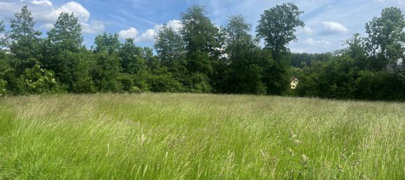 Grundstück in Scharten, Austria, Nr. 129495 2