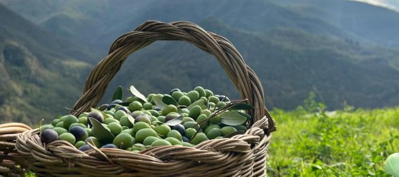 Casa de 3 dormitorios en Bagni di Lucca, Italy No. 238011 31