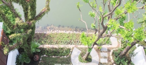 3 chambres Villa à Long Bien, Vietnam No. 847 10