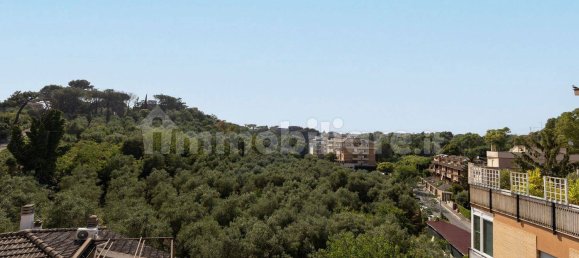 4 غرف نوم بانتهاوس في Rome, Italy رقم 304071 4