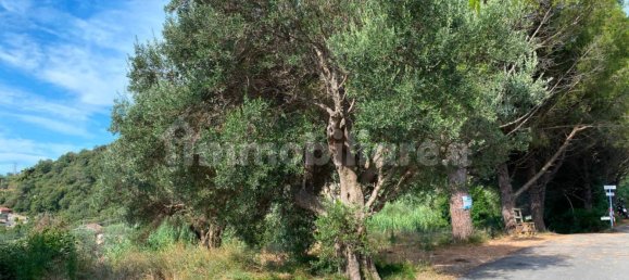 150m² Land in Alassio, Italy No. 273519 8