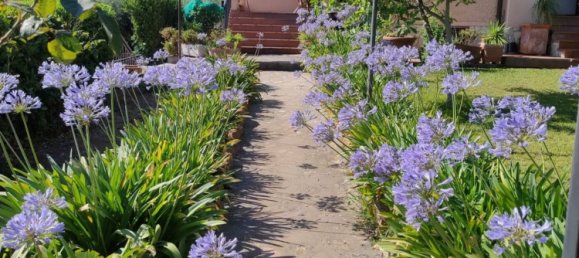 3-salle Villa à Rome, Italy No. 229438 2