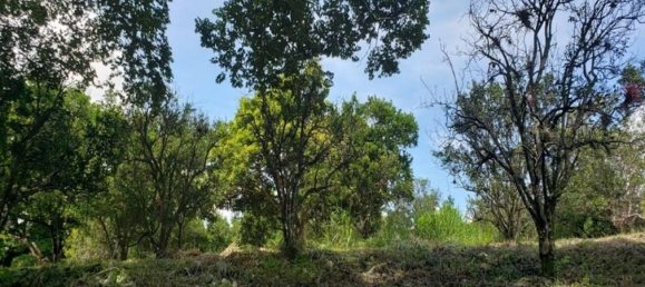 Terrain à Atenas, Costa Rica No. 1860 2