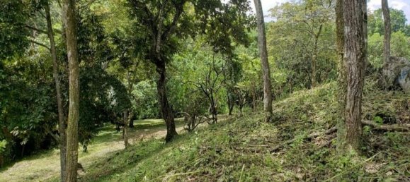 Terrain à Atenas, Costa Rica No. 1860 6