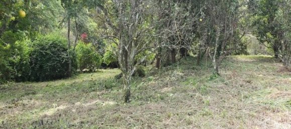 Terrain à Atenas, Costa Rica No. 1860 3