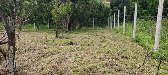 Terrain à Atenas, Costa Rica No. 1860 4