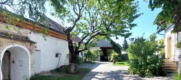 Almacén en Eisenstadt Umgebung, Austria 68 m² No. 240341 5