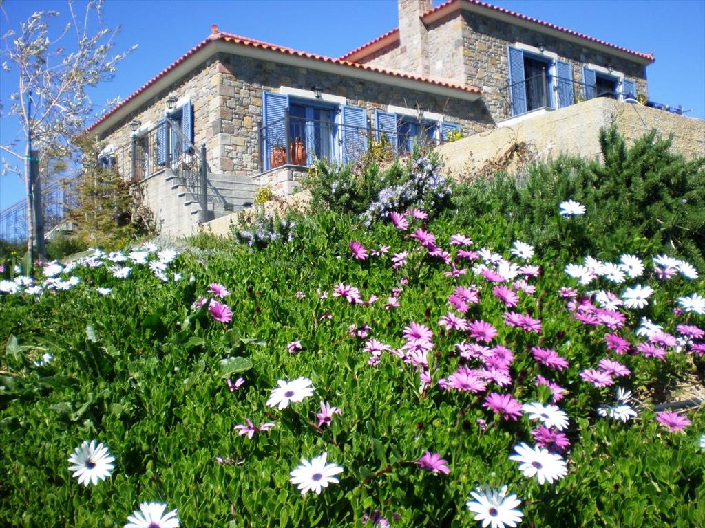 280m² Commercial property in Lesbos, Greece No. 7116