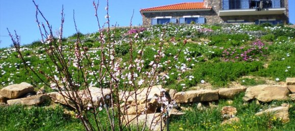 280m² Commercial property in Lesbos, Greece No. 7116 2