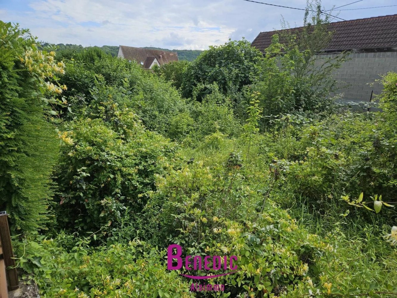 Terrain à Mutzig, France No. 218952