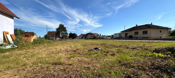  Land in Munchhouse, France No. 217997 2