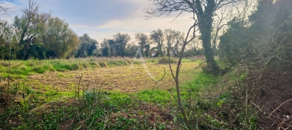 Terreno em Notre-Dame-de-Monts, France N.º 303306 3
