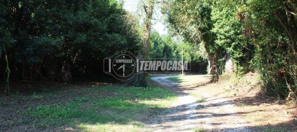 7 bedrooms House in Jesi, Italy No. 327857 21