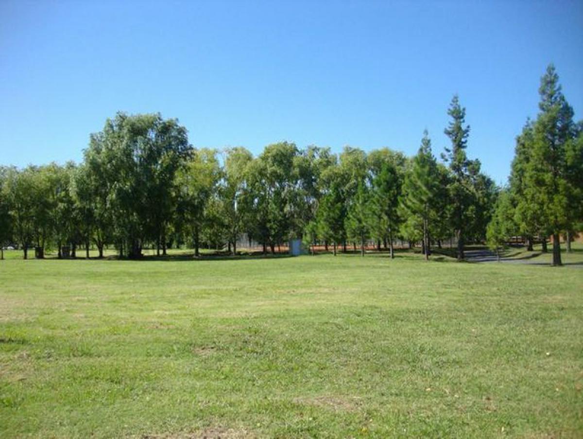  قطعة أرض في Campo Creado, Argentina رقم 117220