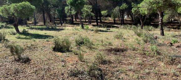 Земельный участок в Мадрид, Испания № 144098 13