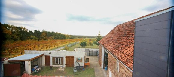 Casa T3 em Wittenberg, Germany N.º 172169 26