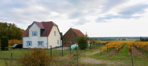 Casa T3 em Wittenberg, Germany N.º 172169 2