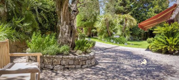 4 bedrooms Villa in Le Cannet, France No. 219657 13