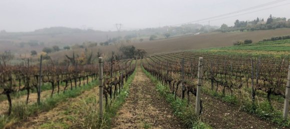 44000m² Land in Rimini, Italy No. 167515 6